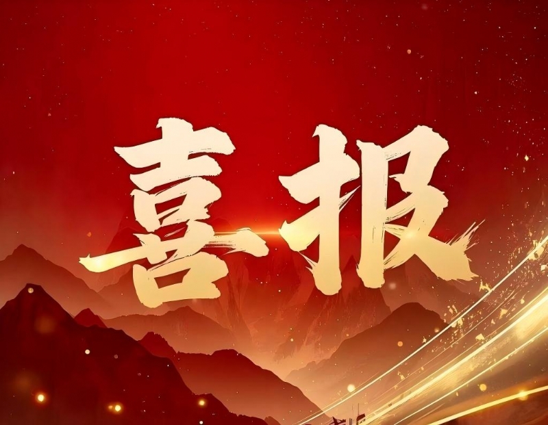 成华公司顺利通过ASME换证